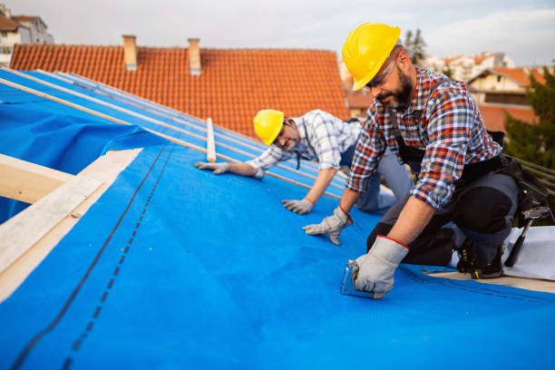 Best Storm Damage Roof Repair  in Moose Lake, MN